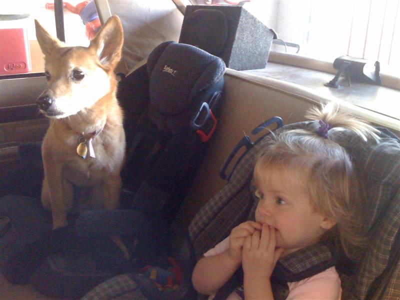 Jess&ScoutyGo4ADrive (1).jpg - Scouty-Roo and I heading out for a quick "Get-Away" (Yeah, we're going to Starbucks!)  Quick Scouty, Check our six, anyone following us?...